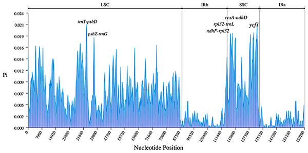 Nucleotide diversities (Pi) of the nine Ribes chloroplast genomes presented in a sliding window approach.