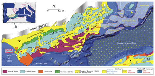 General geology of the Betic Cordillera and adjacent offshore domains with the distribution of Neogene-Quaternary basins (from Driussi et al., 2015 and Ochoa et al., 2015).