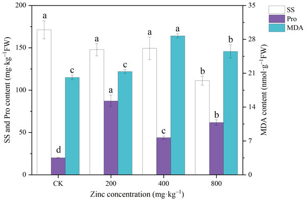 Effect of exogenous Zn on the SS, Pro and MDA contents of P. edulis Sims f. edulis seedlings.