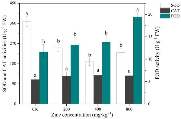 Effect of exogenous Zn on the CAT, POD and SOD activities of P. edulis Sims f. edulis seedlings.