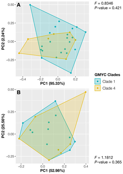 Principal component analysis of morphological traits of Thai Aneura specimens.