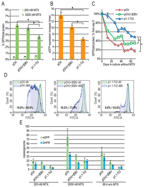 EGFP expression level dynamics for CMV promoter-based plasmids and EEF1A1 promoter-based plasmid p1.1-Tr2.