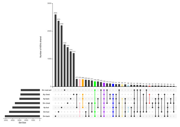 Upset plot between all penguin sample types.