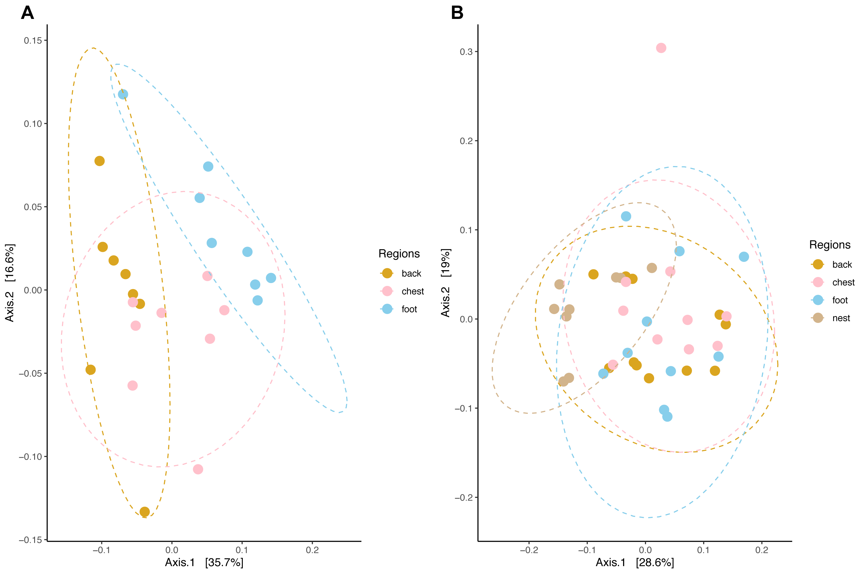 Body site microbiota of Magellanic and king penguins inhabiting the ...