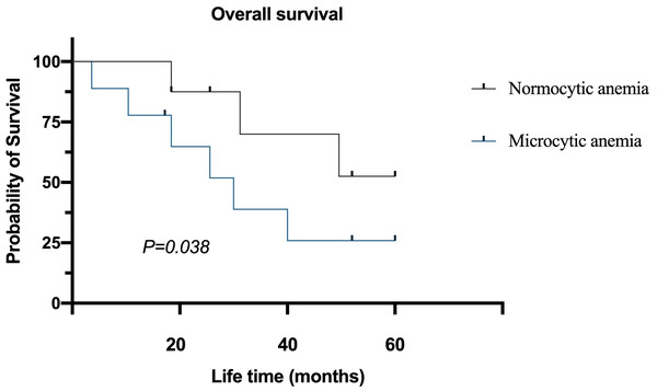 Survival of colorectal cancer patients with different preoperative anemia types.