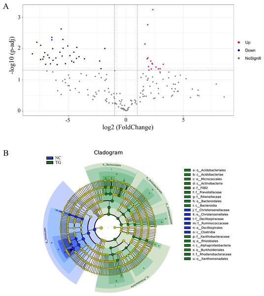 Analysis of species diûerences among microbiomes in sheep rumen.