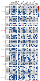 Pdf Comprehensive Genomic Characterization Of Nac Transcription