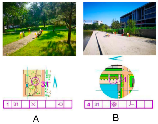 Examples of maps with different orientations of stimulus materials.