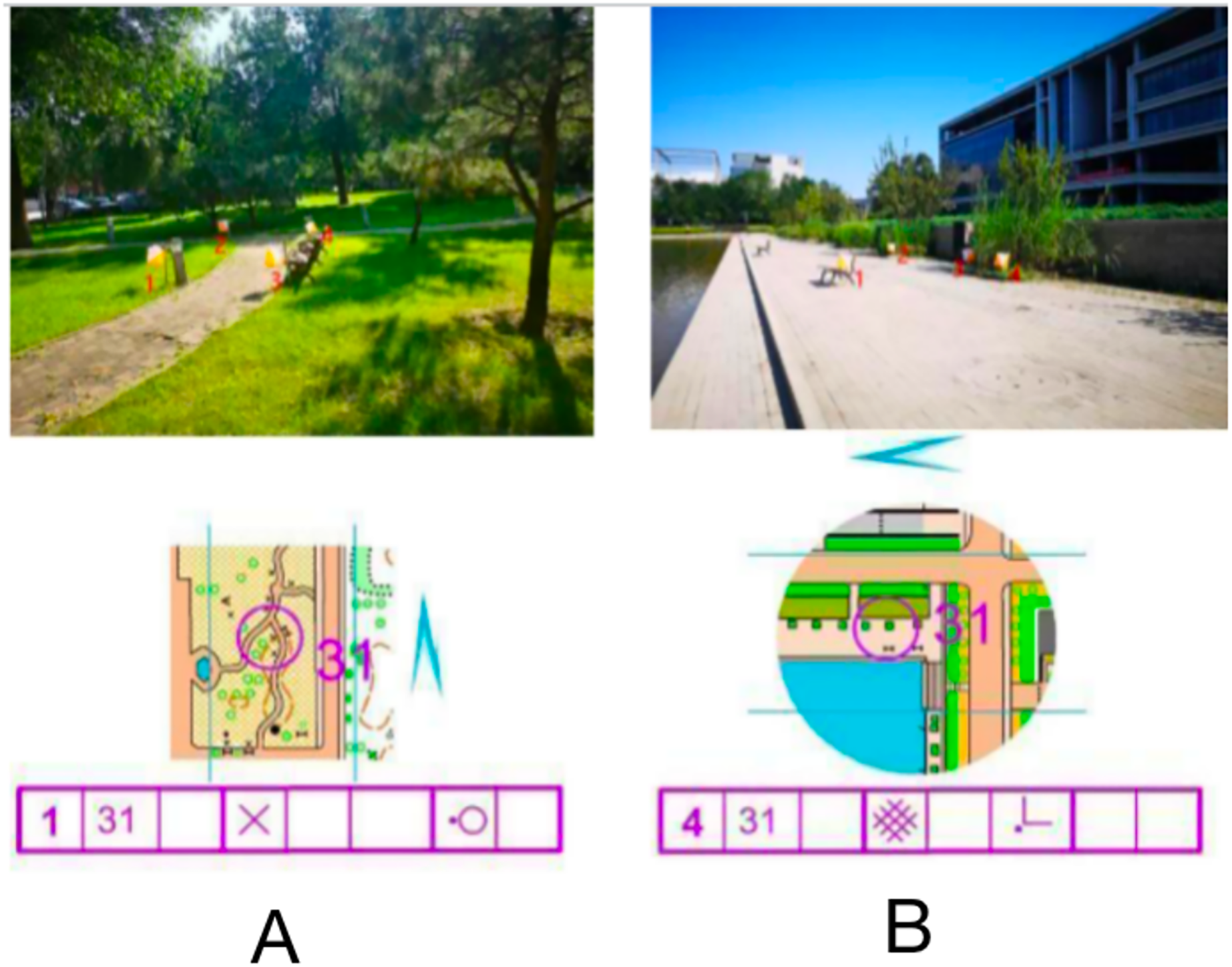 Sensorimotor adaptation in spatial orientation task: a fNIRS study