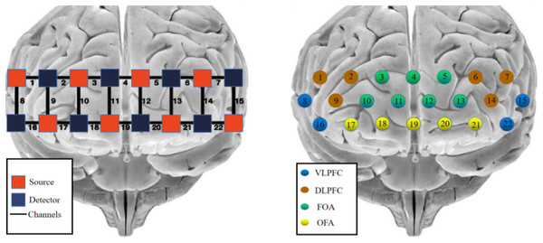 fNIRS channel layout and calibration brain region information.