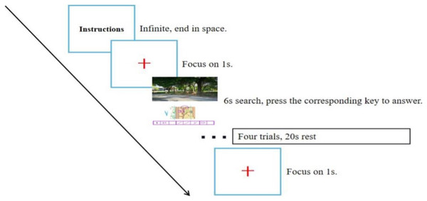 Flow chart of the experiment.