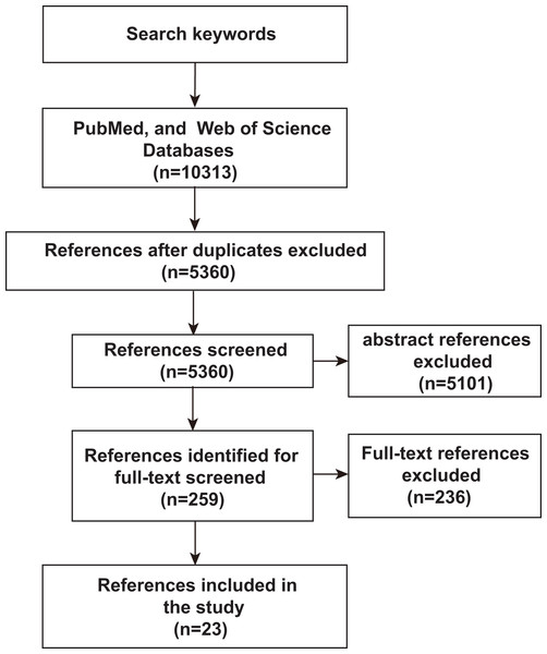 Schematic diagram of literature search.