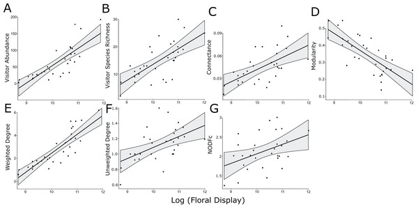 Significant linear relationships between the log-transformed size of the floral display and floral visitor abundance.