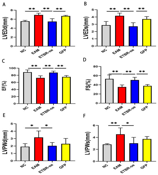Effects of ETBR overexpression on cardiac function in EAM rats.