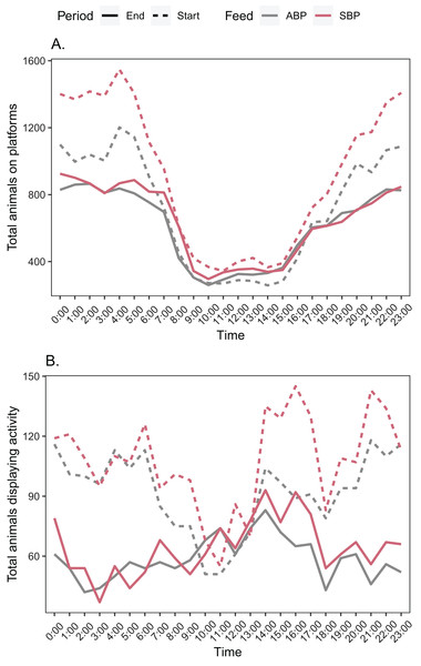 Total number of American alligators (A) on a platform, (B) displaying some form of activity for each hour for animal based protein (ABP) diets and soybean meal based protein (SBP) diets at the start and end of the trial period.