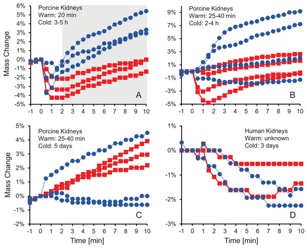 Mass change after initiating perfusion with 10% m/v ethylene glycol in either isotonic (red squares) or hypotonic (blue circles) vehicle solution.