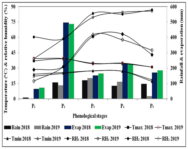 Variation in weather conditions mean temperature (time series), mean relative humidity (time series), total rainfall (histogram), total evaporation (histogram) at different pheno-phases of cotton during 2018 and 2019.