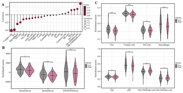 Correlation analysis of immune function of TMUB1.