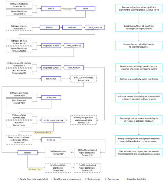 The mimicry identification pipeline used in our analysis.