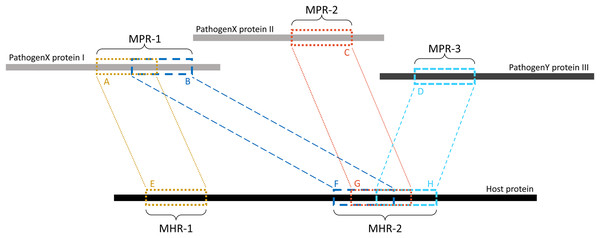 Example of MPRs and MHRs, and how they relate to each other.