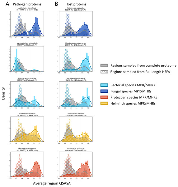 Solvent accessibility of potential mimicry regions for selected pathogens.