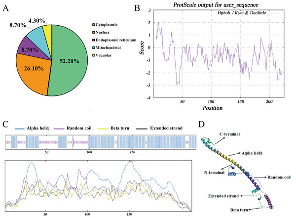 Molecular characteristics and spatial structures of Hezuo Pig BCAS2.