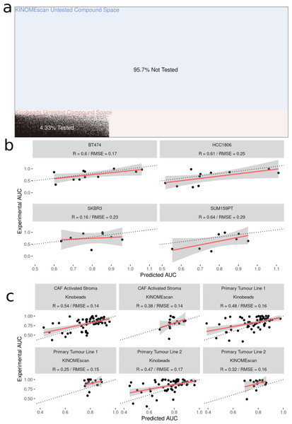 Experimental validation of model in breast cancer cell and patient-derived PDAC cell lines.