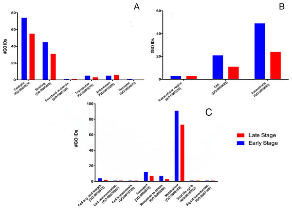 Molecular GO Slim2 analysis.