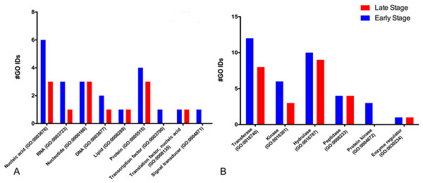 Molecular GO terms for the most critical molecular functions: binding and catalytic activities.