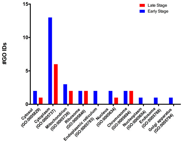 Molecular GO terms for the intracellular component protein classification from M. tenellum eggs.