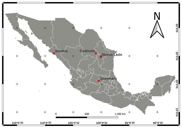 Location map for Bactericera cockerelli sampling in Northern Mexico (Nuevo Leon, Coahuila, and Sinaloa) and in Central Mexico (Queretaro) crops of tomato.