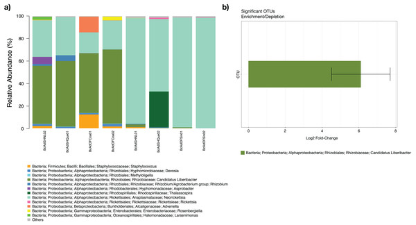 Microbial structure assemblage of Bactericera cockerelli and DAOTUs analysis.