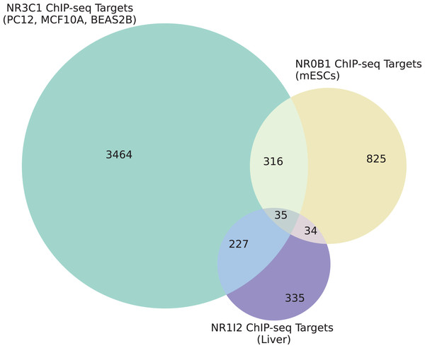 Overlap of target genes of NR3C1, NR0B1, and NR1I2 from ChEA 2022.