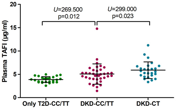 Plasma TAFI levels of only T2D and DKD with different genotypes of 1040C/T SNP.