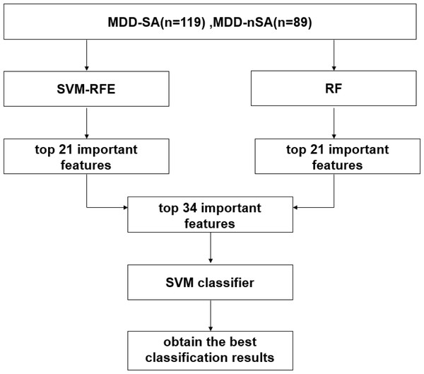 Working flowchart in the present study.