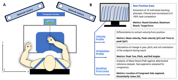 (A) The reaching workspace and experimental protocol all data collection was conducted at the Mechanisms of Therapeutic Rehabilitation (MOTR) Lab at MedStar national rehabilitation hospital in Washington, DC. Markers placed on the hand dorsum are indicated in red. (B) 3D position data and kinematic analysis produced 3D positional data was evaluated with custom-written MATLAB scripts to extract individual curves and kinematic metrics such as movement variability, peak velocity, time to peak velocity, and target error.