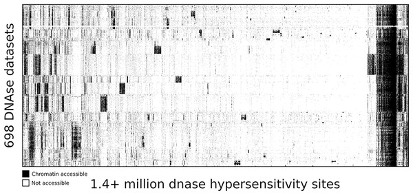 DNA accessibility at 1.4 million consensus DHSs assayed across 698 samples encapsulated in a visually compressed DHS-by-biosample matrix.