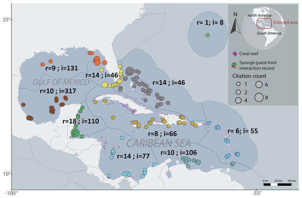 Regionalized map of sponge host-guest interactions in the Northwestern Tropical Atlantic coral reefs.
