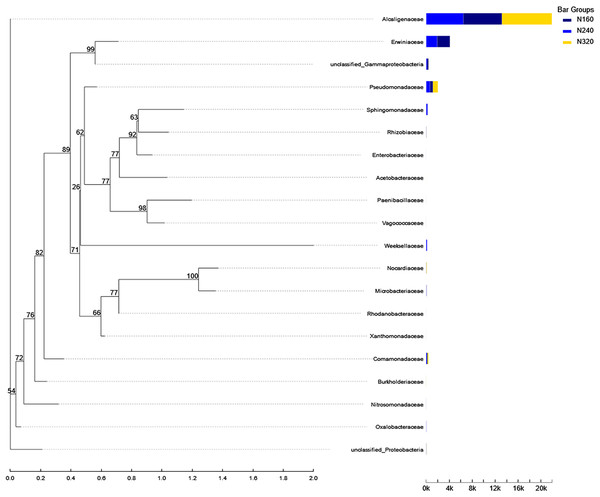 Phylogenetic tree of microorganisms under different nitrogen application rates.