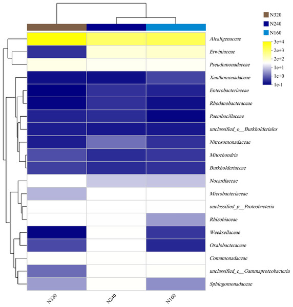 Community heatmap of (20 most abundant) bacterial families on maize leaves under different N application rates.