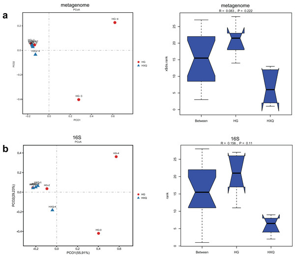 Comparison of beta diversity for metagenome and 16S rDNA amplicon results.