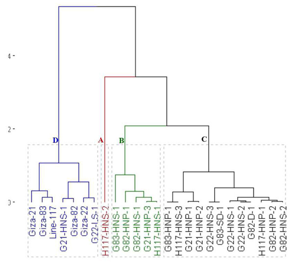 Dendrogram of the assessed 25 soybean genotypes (twenty M3 mutants and their parental cultivars) based on seed yield and contributed traits.