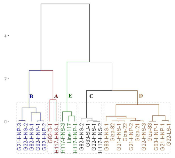 Dendrogram of the assessed 25 soybean genotypes (twenty M3 mutants and their parental cultivars) based on oil content.