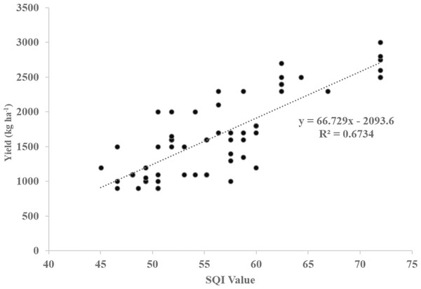 Regression graph between soil quality index (SQI) values and productivity values.