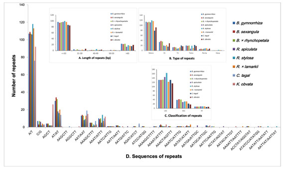 The type and distribution of repeated sequences and SSRs in the chloroplast genomes of eight Rhizophoraceae mangrove species.
