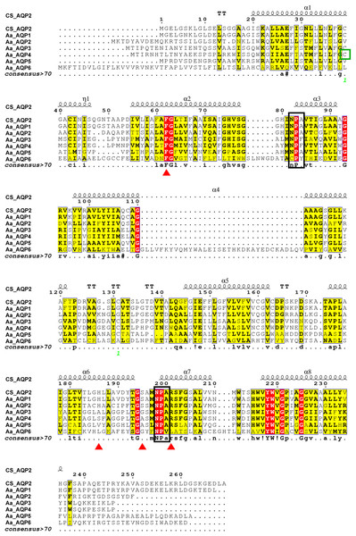 Multiple amino acid sequence alignment and secondary structure of Agriphila aeneociliella aquaporins.