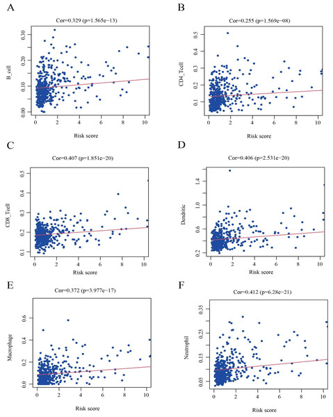 Identification of the correlation between the risk score and immune cell infiltration in LGG.