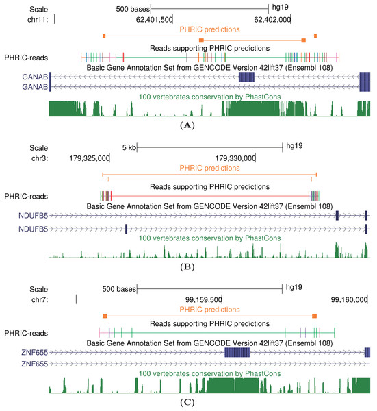Case studies of long-range intronic RNA structures in the human transcriptome outside of conserved regions.