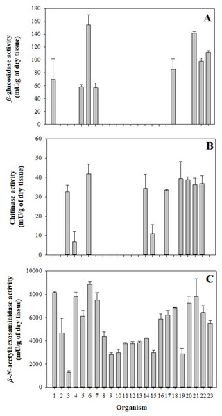 Glycolytic activity in the gastric pouch from Stomolophus sp. 2.