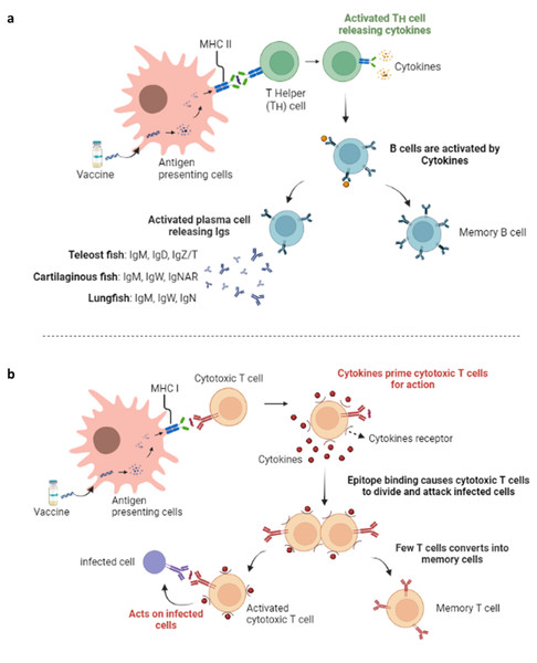 Riding the wave of innovation: immunoinformatics in fish disease ...